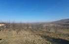 Vand teren intravilan Boju, com. Cojocna - 3