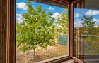 Casă de vânzare în Buziaș | 1.617 mp teren | 85.000 €