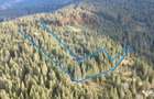 Teren 17,895mp Dorna-Arini / Prelungirea Cozane?ti - Dorna Arini (Suceava)