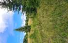 Teren Breb Maramures - 5