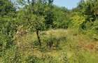 Teren intravilan de 1.470 mp cu padure in spate si priveliste spre vale, la 1h30 de Bucuresti - 4