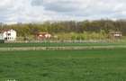 Teren langa padure si aproape utilitati,800 mp,36000 euro - 8