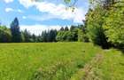Lacuri Vulcan Brasov - Premium in turism-teren 6800mp - 20