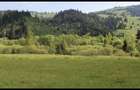 Teren intravilan de vanzare, 1000 mp - 3