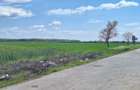 Vand Teren 3,25Ha Ghighiu,Sat Barcanesti,Autostrada A3-Dj101,Prahova - 5