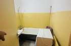 Apartament 1 camera Micalaca - 7