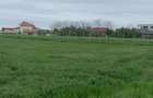 Teren comuna Ciolpani, sat Piscu -proprietar