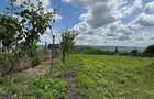 Teren 1797 mp in Dobrovat (Rusi) la padure, cu investitii deja facute - 4