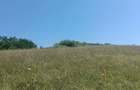 Teren extravilan 5.800 mp Apahida, Cluj - 1