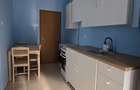 INCHIRIEZ Apartament cu 1 camera la curte ,Parcul Reconcilierii ,Arad