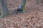 Teren forestier intravilan-extravilan - 1