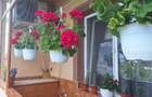 Apartament cu 2 camere, decomandat,  ultracentral - 3