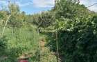 Casă cu 2 camere cu Teren 1600 Mp în Cetea - 3