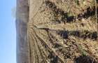 Teren agricol sat.Voroveni - 1