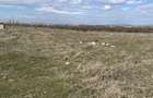 Vand teren intravilan - 4
