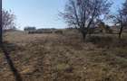 Teren intravilan Sascut (Schineni), jud. Bacau, 3200mp - 3