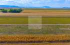 Teren 460 mp în Tărlungeni–Carpinis | Posibilitate extindere la 920 mp
