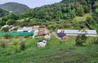 Gospodarie | 315mp | 12 500mp | Ramnicu Valcea - Copacelu | Proprietar - 2