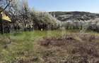 Teren intravilan in localitatea Criseni in suprafata de 2700 mp - 4