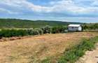 Teren Intravilan Carlig - Carolina 1500 mp Iasi 5 km pana la Mihai Viteazu cel mai mic pret din zona. Oportunitate investitie - 8