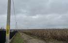 Vand loturi de teren intravilan cu suprafete cuprinse intre 1000-1500 mp - 3