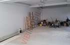 Baneasa - Sisesti, vila S+P+1E+M, 9 camere, suprafata utila 516 mp