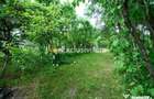 Casa cu teren generos - 4696 mp Apa Sarata - Campulung !! - Campulung (Arges) - 15