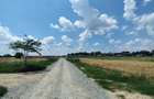 Vânzare teren 7567 mp, parcelabil, în Măgurele - 9