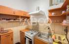 Apartament 2 camere de inchiriat cu terasa zona Centru Clinicilor - 9