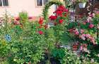 Vand casa locuibila in orice moment - 3