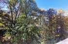 Apartament 2 camere, zona Septimiu Albini