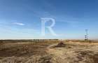Teren intravilan agricol | 7029 mp | Satu Nou | Bihor