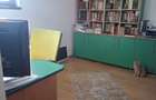 Casa de trait si iubit! - 8