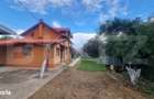 Casa P+M + Teren 3.000 Mp | Belciug, Draganesti | 3 Km De A3 - 6