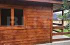 Teren de vanzare cu cabana si livada, 1300 mp, zona Viile Satu Mare - 10