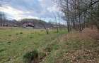 Vand teren Smeura, Arges - 3