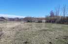 Teren extravilan 1.000 mp Valea Draganului - 3