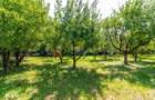 Casa/Vila tip conac, cu anexe si livada de vanzare Valenii de Munte - 18