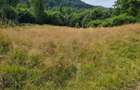 Teren Breb Maramures