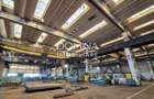 Inchiriere complex industrial versatil *hale - birouri - platforme betonate* - 3