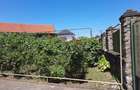 Hunedoara, centru vechi - 7