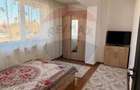 Apartament cu 2 camere de inchiriat in zona Brazda lui Novac - 5
