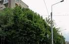 Apartament 2 camere Brancoveanu Marie Curie - 1