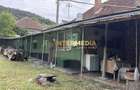 Casa in Cricau cu 1.375 mp teren, anexe, utilitati, vie si livada - Op - 1