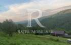 Teren 10.900mp | Panorama in Apuseni | Remeti -Ideal pentru Investitii - 5