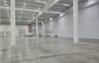 Spatiu Industrial - 5000 mp - Logistica - Depozitare - Distributie - 7