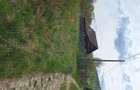 Teren de vanzare 0.800m - 3