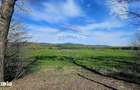 Teren 10,000mp Nemtisor / DJ 155C - 18