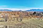 Comision 0%! Teren superb de 17000mp la 5 min de Castelul Bran, 13 eur - 8