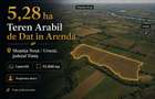 Proprietar dau in arenda 5,28 ha teren arabil - Mo?ni?a Noua - Urseni, Timi? - 1